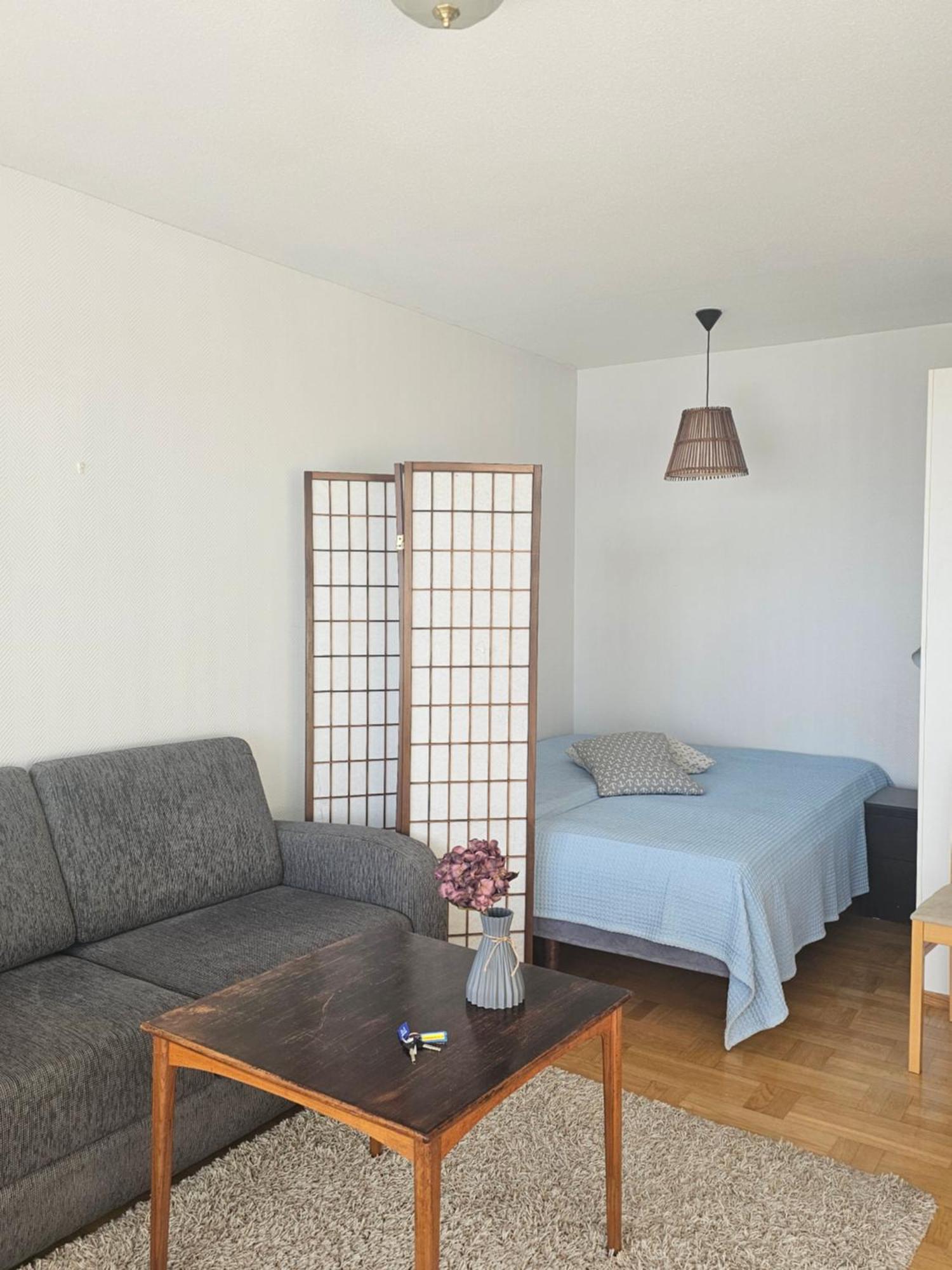 Apartment Krepelin *